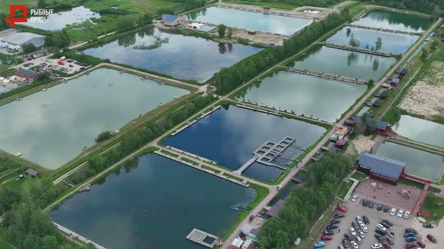 Рыбные Пруды 2024