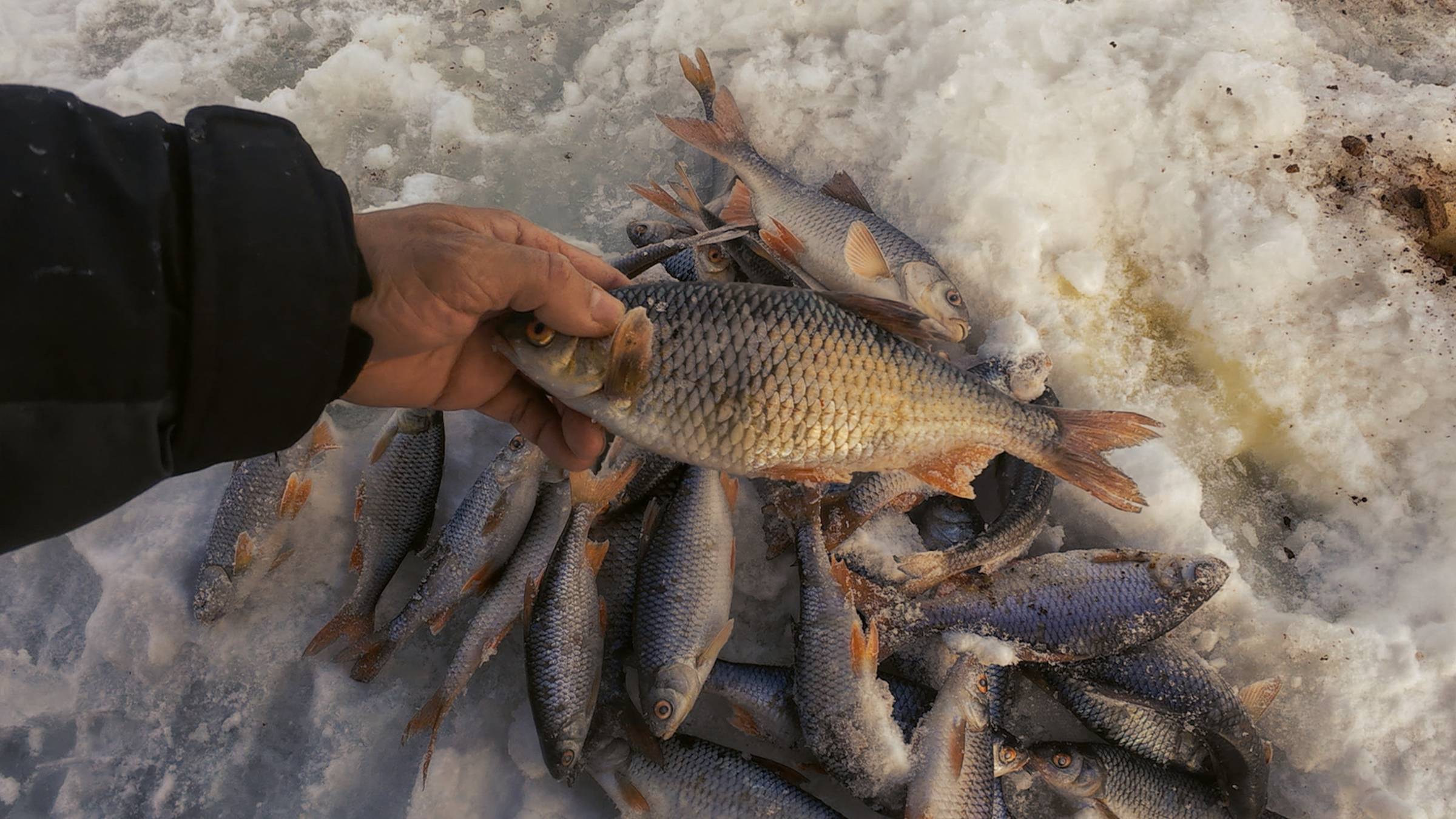 Хорошо накормил и понеслась смотреть онлайн