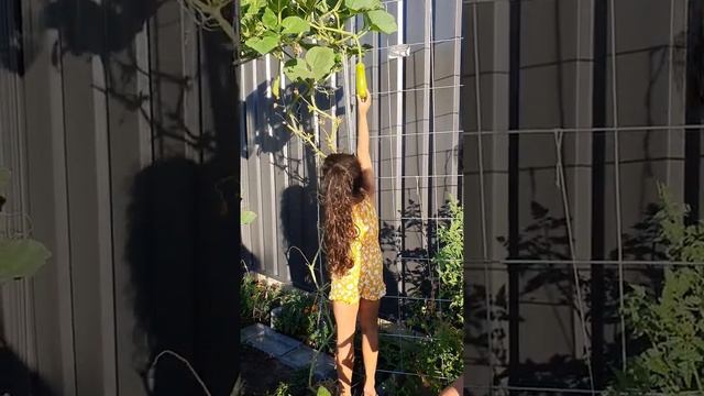 Chronicles of Samara- walk though the Kitchen Garden смотреть онлайн