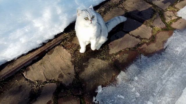 Аниска и дрон смотреть онлайн