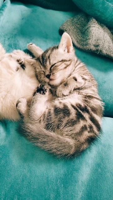 415 база ответьте