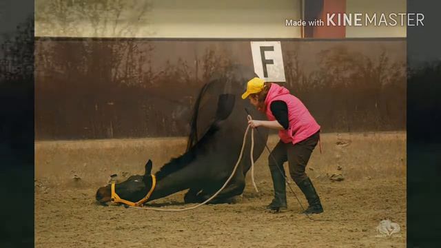 One year with Liberty смотреть онлайн