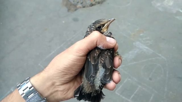 слеток смотреть онлайн