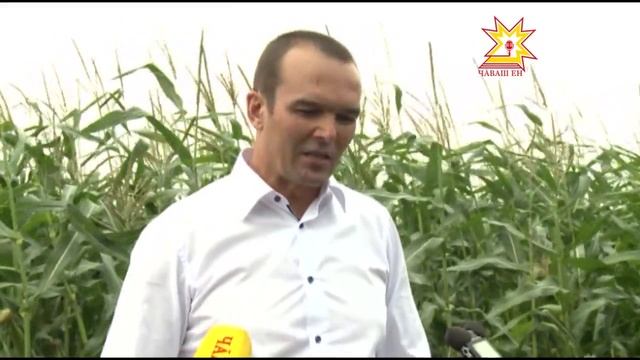 Республика Пуçлăхĕ Вăрнар районĕнче смотреть онлайн