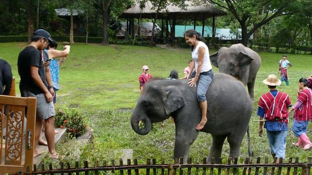 Sylvia Rides an Elephant смотреть онлайн