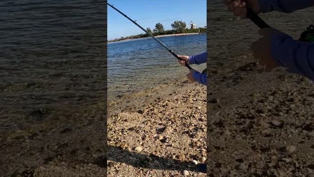 Рыбалка 🎣 смотреть онлайн