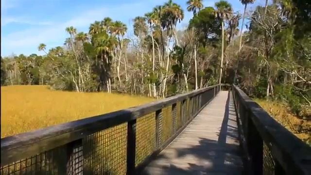 Experience Citrus County...Crystal River, Floral City, Homosassa, Inverness. An outdoor paradise. смотреть онлайн