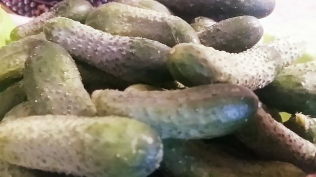 Облепиха из сада.🌞🌳🌷🌲👍 смотреть онлайн