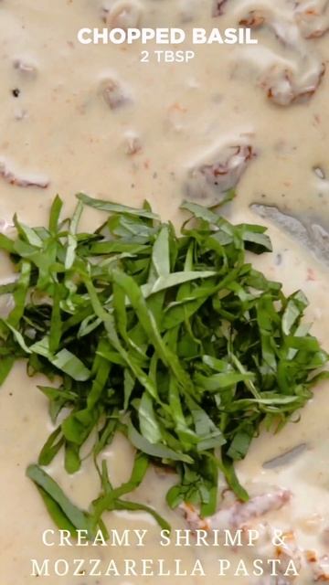 Creamy Shrimp & Mozzarella Pasta