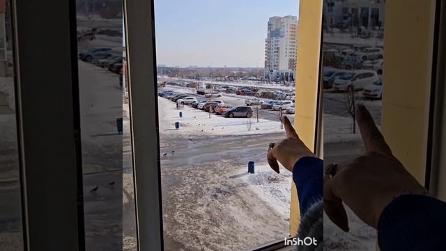 ШОК ЦЕНА! смотреть онлайн