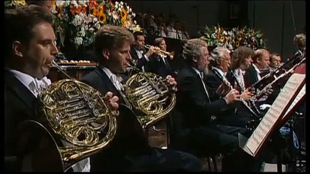 Brahms Symphony No.1 mvt. III смотреть онлайн