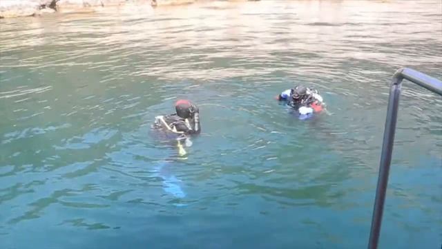 2019 DiveShow Taranenko смотреть онлайн