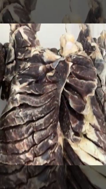 Сушеное горное мясо