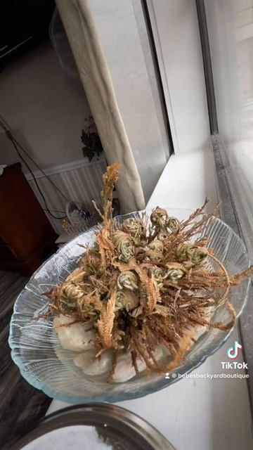 Rose of Jericho Resurrection Plant time lapse video смотреть онлайн