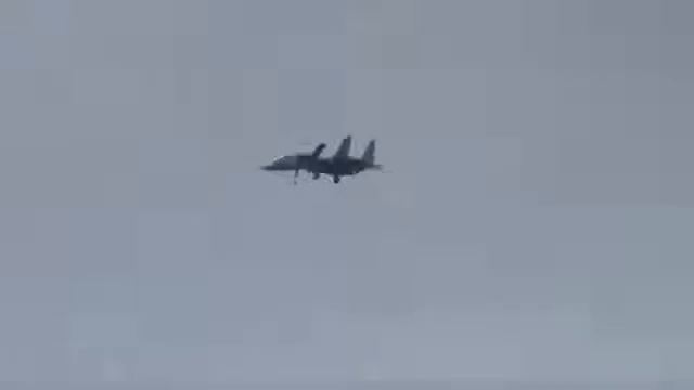 F15 VS Gripen | Aircraft