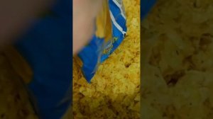 БРАГА ИЗ КАРТОФЕЛЬНЫХ ЧИПСОВ