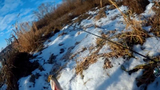 Щука поздней осенью смотреть онлайн