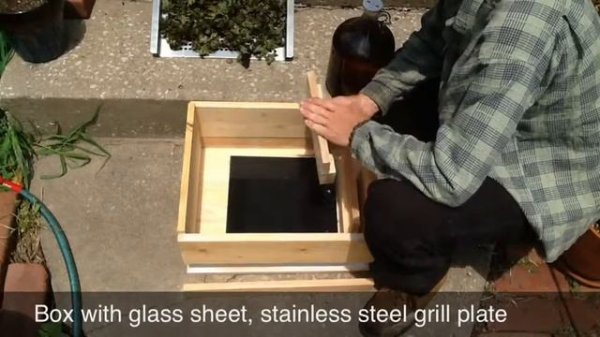 Kale Chips In Homemade Solar Dehydrator