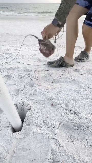 Рыбалка 🎣 🎣 Fishing смотреть онлайн