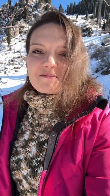 Как правильно формировать декларацию по маркетплейсам