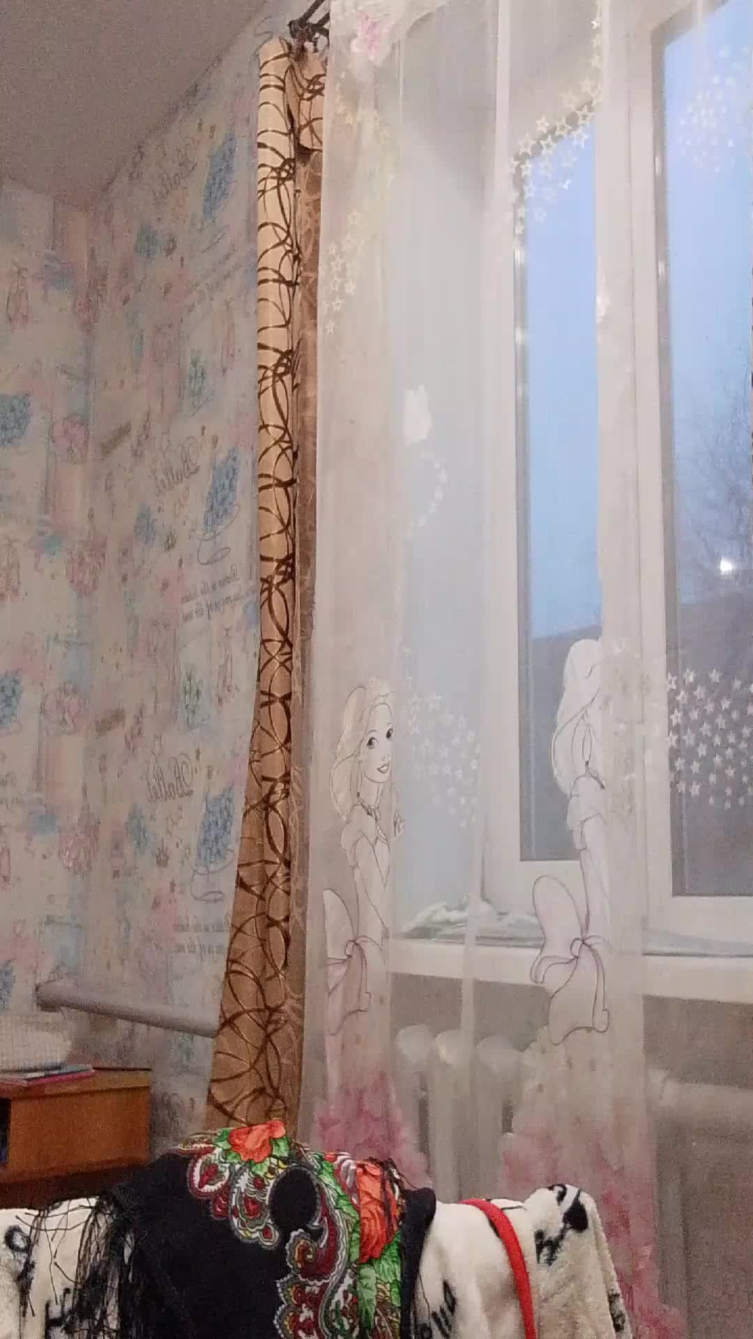 тг полька ❤️💋