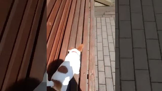 Моё провёл видео Стеши и меня. смотреть онлайн