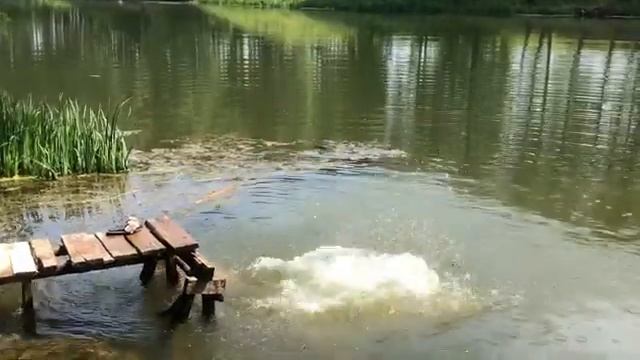 2020 07 07 Past 3 Bogorodick and Yasnaya polyana смотреть онлайн