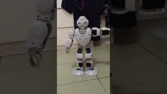 Alpha Digital Robot - Gangnam Style смотреть онлайн
