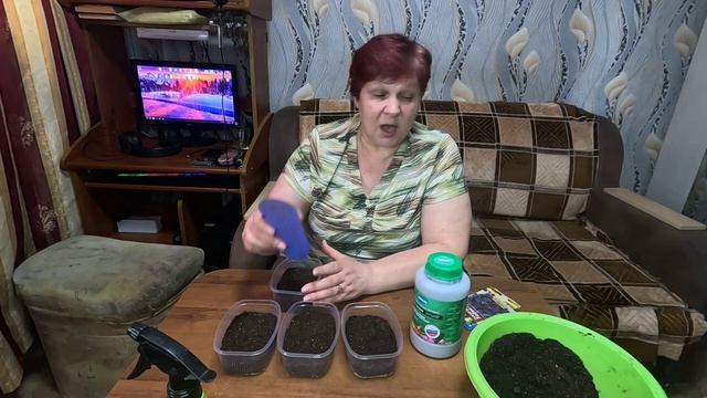 Базилик без хлопот!! Этот способ посева Базилика никогда не подводил!! смотреть онлайн