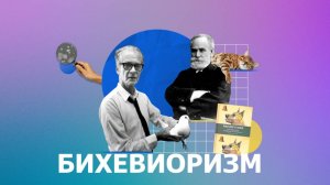 БИХЕВИОРИЗМ: Что это такое  / Основные положения / Плюсы и минусы подхода