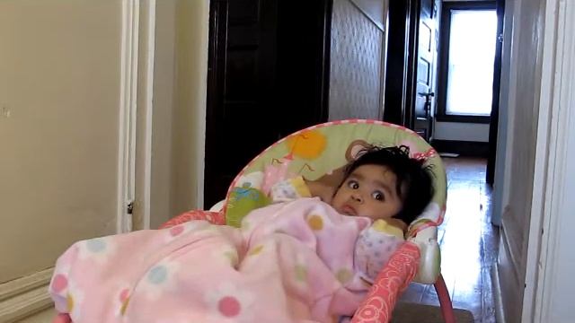 Vibha hates blender noise смотреть онлайн