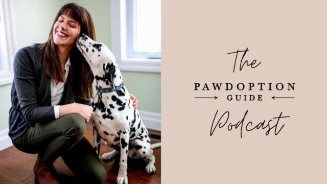 Pawdoption Guide Podcast - Helpful Rescue Dog Advice from a Vet with Dr. Alex Avery | Ep. 24 смотреть онлайн