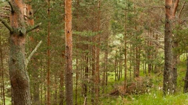 экопоселение смотреть онлайн