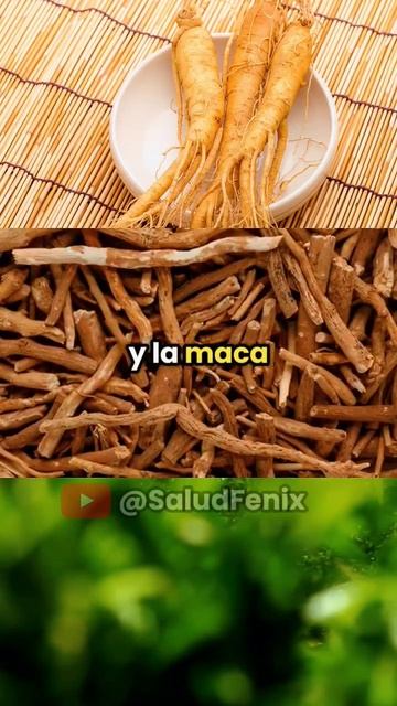 🥦Superalimentos Vegetales 😲🍃🍵 ¡Mantente Joven desde Adentro! 💚🥗 смотреть онлайн
