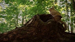 Gateway to the world A1+ unit 1 great learners great thinkers. A family history