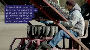 Сезонная работа в Финляндии