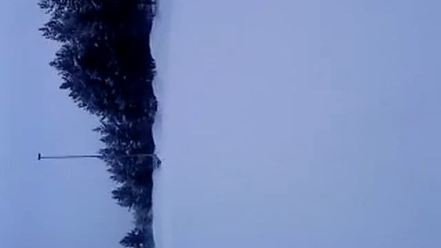 audi 100 quattro driving смотреть онлайн