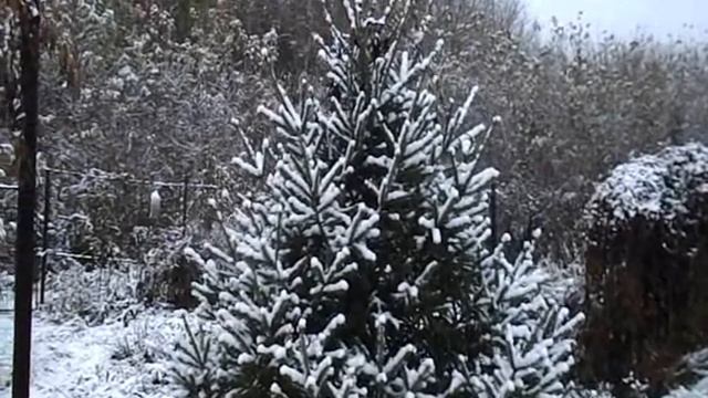 Первый снег укрыл рябину... смотреть онлайн