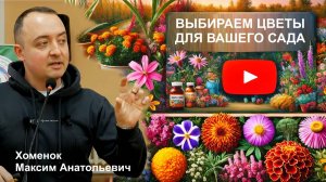 Однолетники в вашем саду: секреты успешного выращивания и ухода от эксперта