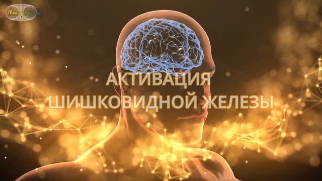Пробуди КВАНТОВЫЙ МОЗГ смотреть онлайн