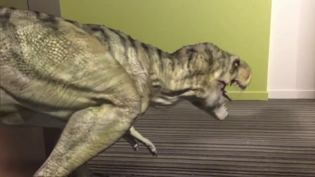 Fuck me,I think I had too much to drink when I saw a dinosaur in my building , смотреть онлайн