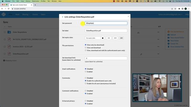 Is Sync Pro Teams+ Unlimited Worth it? Using Sync.com for Business смотреть онлайн