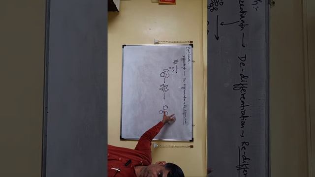 Plant Growth and Development Line by Line NCERT NEET 2024 Rapid Revision only Prof Kukreja Girish смотреть онлайн