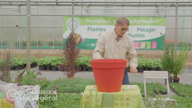 Comment planter un arbuste en pot pour votre terrasse ? смотреть онлайн