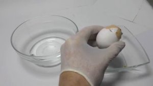 НОВЫЙ УЖАСНЫЙ ВИД ГОМУНКУЛА Homunculus #1