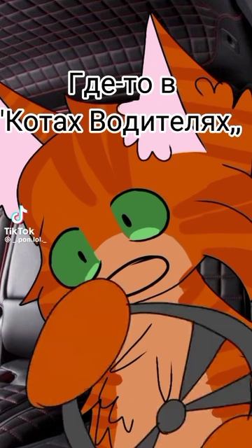 Где-то в мире котов водителей: смотреть онлайн