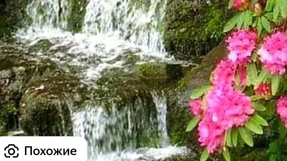 водопад🏞️ смотреть онлайн