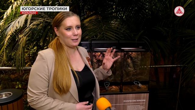 Новые обитатели оранжереи «7 садов» в Когалыме смотреть онлайн