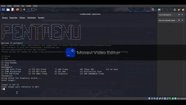 Ddos Site - Kali LInux