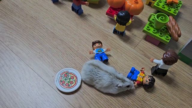Хомяк гуляет по лего городу. Лего дупло. Хомяк на автобусе. LegoDuplo. Видео для детей. Домино. 레고